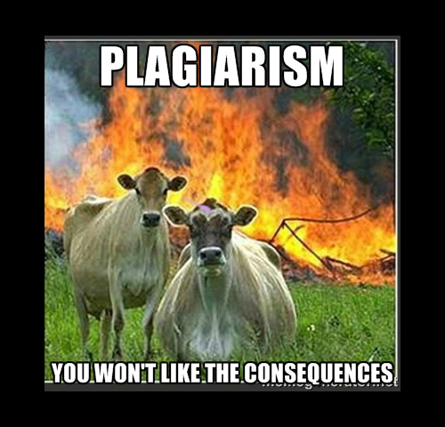 Plagiarism - you won't like the consequences