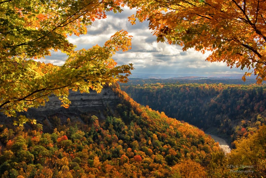 Dick Thomas – Great Bend, Letchworth State Park