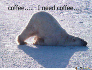polar bear needs coffee