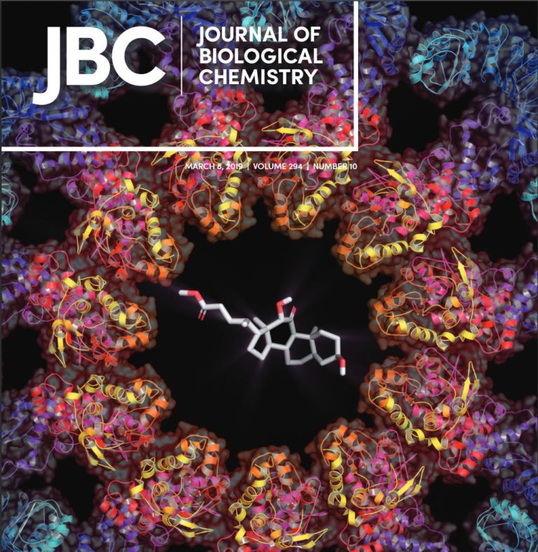 Journal Of Biological Chemistry: Now Available Via Milne! – Library ...