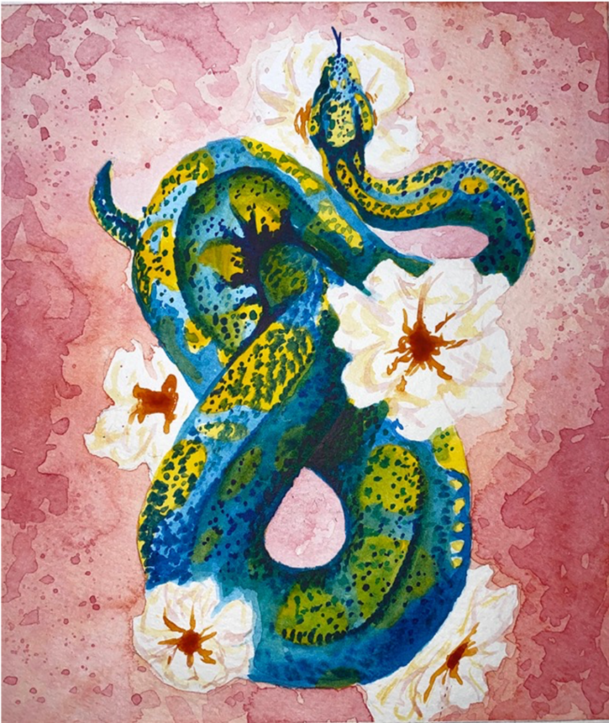 Snake and Flower, watercolor by Abigail Chenette