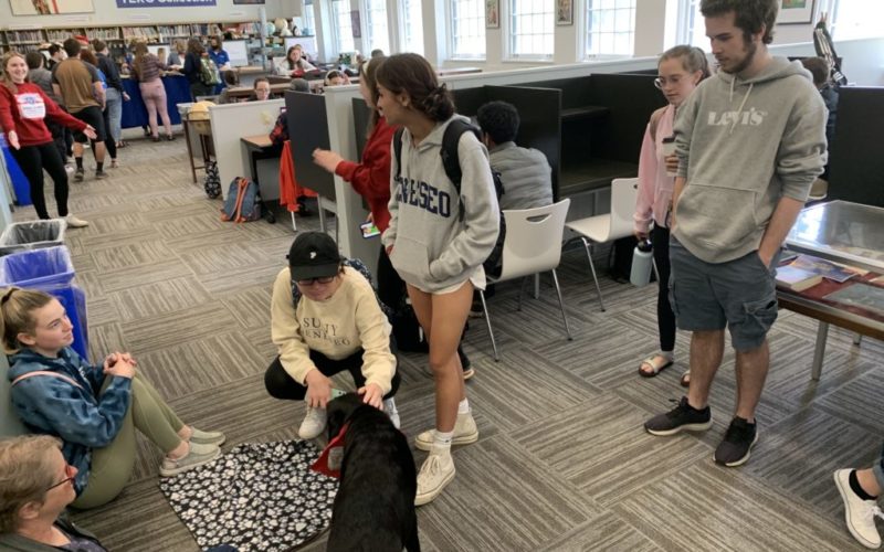 Students gathering for pizza and therapy dog petting in the Library for Stressbusters