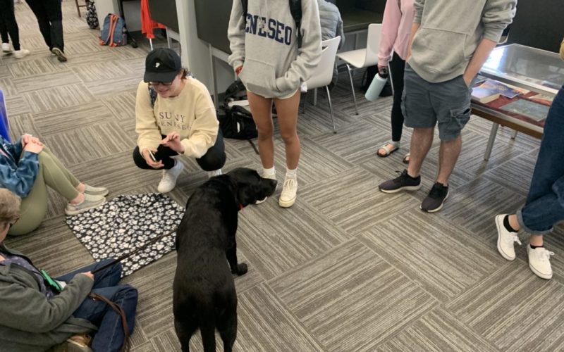 Michele the Therapy dog greeting students in Fraser Hall Library
