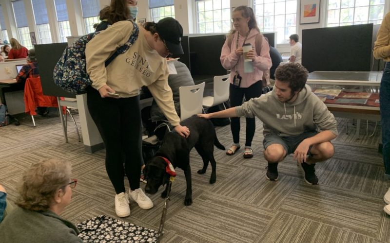 Students getting some furry friend therapy