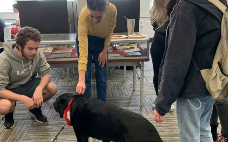 Michele the Therapy dog bringing smiles to students