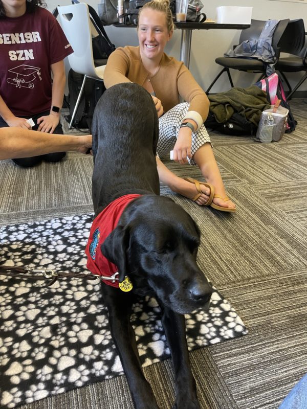 Michele the Therapy dog stretching downward dog at Fall Library Open House 2022
