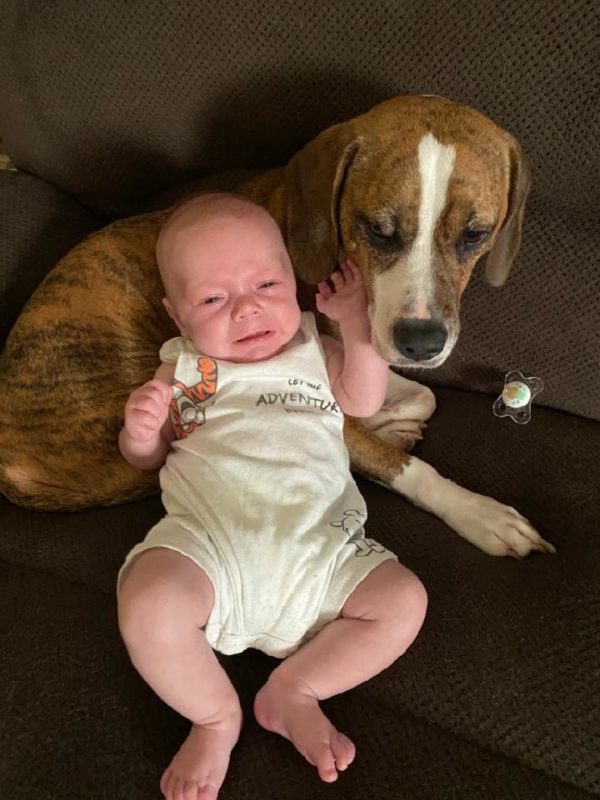 Remi and his baby human brother
